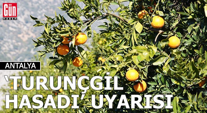 Deprem bölgesinde 'turunçgil hasadı' uyarısı