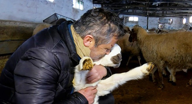 Deprem sonrası hayvanlarını bırakamıyor