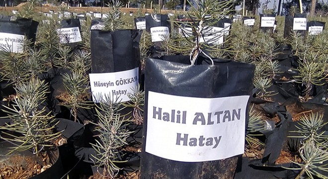 Depremde hayatını kaybedenlerin isimleri fidanlarda
