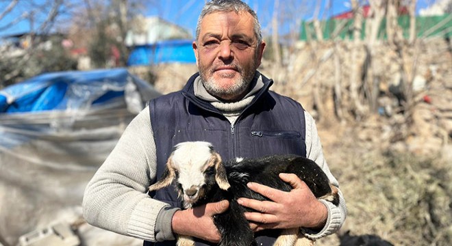 Depremden sonra doğan kuzuya 'Deprem' ismi verildi