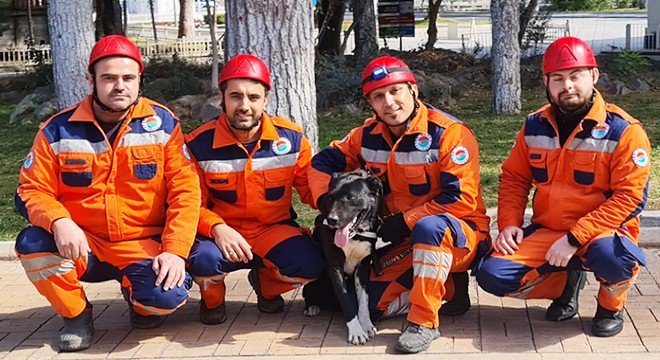 Depremzede köpek  Hayat , yeni hayatlar kurtaracak