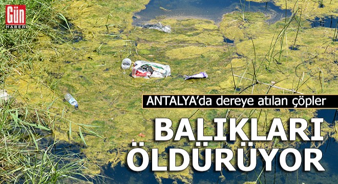 Dereye atılan çöpler, balıkları öldürüyor