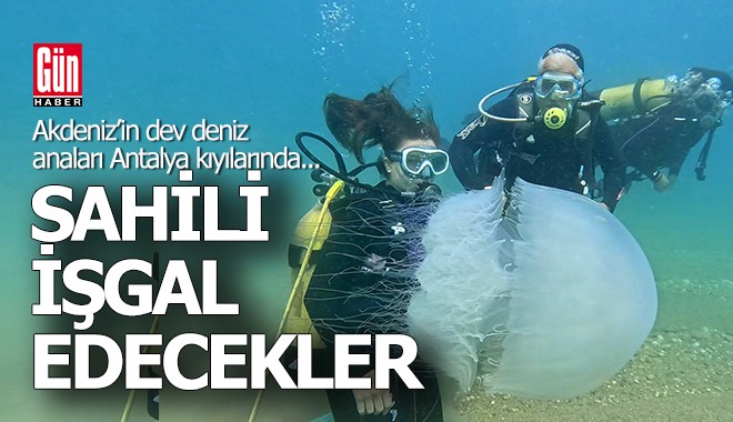 Dev deniz anaları Antalya'da kıyılara ulaştı