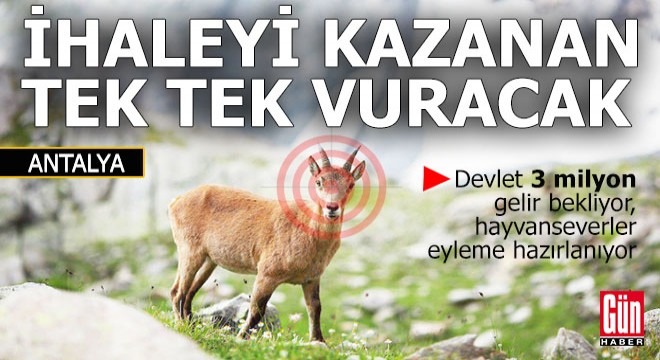 Devlet 3 milyon alacak, ihaleyi kazanan vuracak