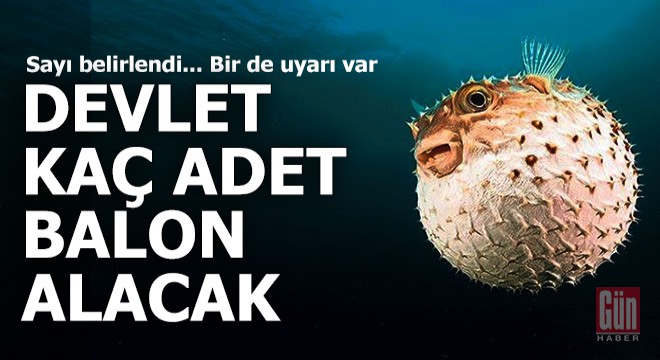 Devlet kaç adet balon balığı alacak?..