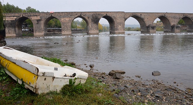 Dicle Nehri'ndeki 42 balık türünün dörtte biri tehlike altında