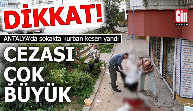 Dikkat! Antalya’da sokakta kurban kesen yandı