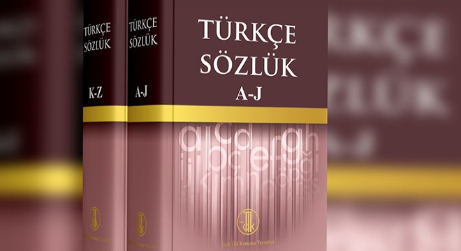 Dil Derneği’nden TDK eleştirisi: Kendini hatırlatmaya çalışıyor