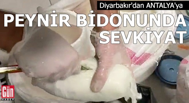 Diyarbakır dan Antalya ya peynir bidonunda uyuşturucu