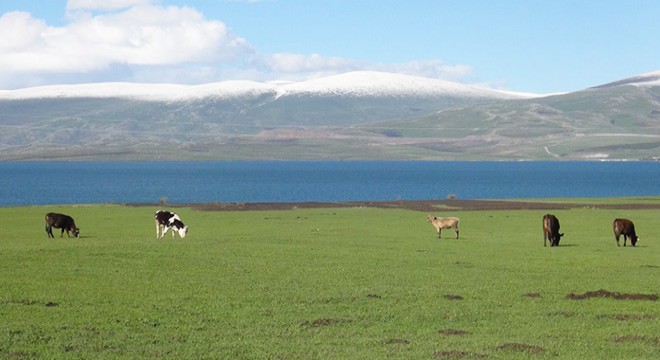 Doğa harikası Çıldır Gölü