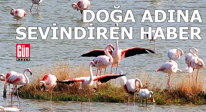 Doğa adına sevindiren bir haber