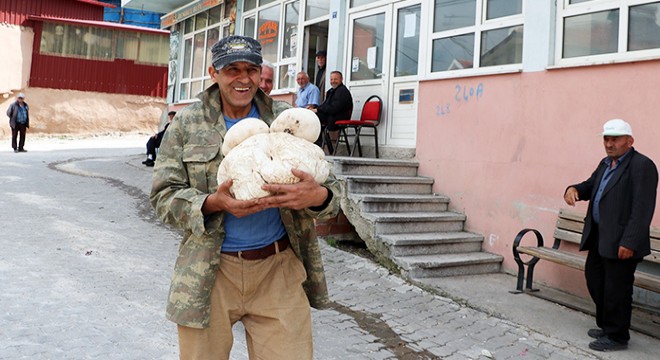 Doğada 3 kilo 135 gram mantar buldu