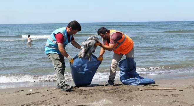 Doğal kum plajı, çöplerden temizlendi