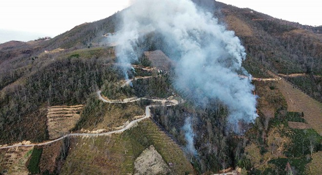 Doğu Karadeniz'de 22 noktadaki örtü ve orman yangınları söndürüldü