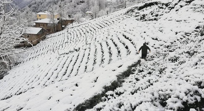 Doğu Karadeniz'de 4 ilde okullara kar tatili