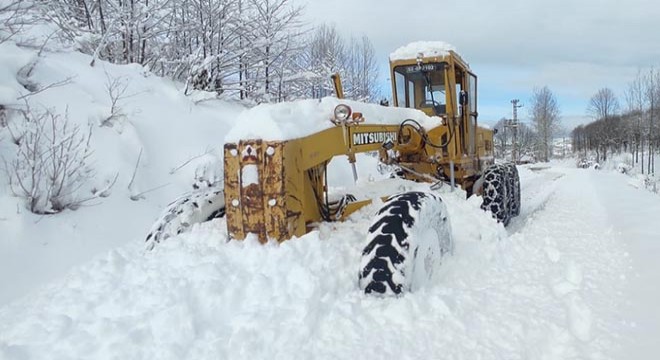 Doğu Karadeniz de kar; 201 köy ve mahalle yolu kapandı