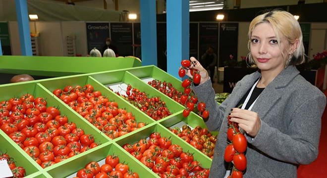 Domatese kadın ismi daha çok yakışıyor