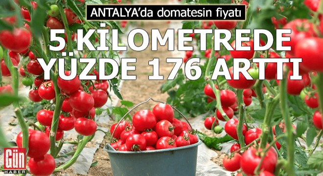 Domatesin fiyatı 5 kilometrede yüzde 176 arttı