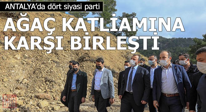 Dört siyasi parti, ağaç katliamına karşı birleşti