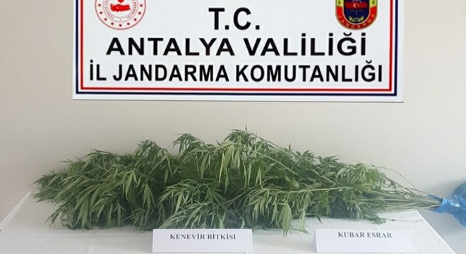 Döşemealtı'nda jandarmadan uyuşturucu operasyonu