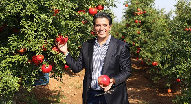 Döşemealtı’nda nar çalıştayı