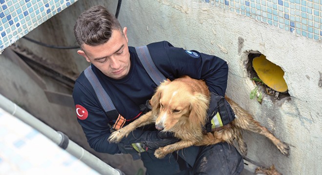 Drenaj kanalından itfaiyecilerin kurtardığı köpeği sahiplendi