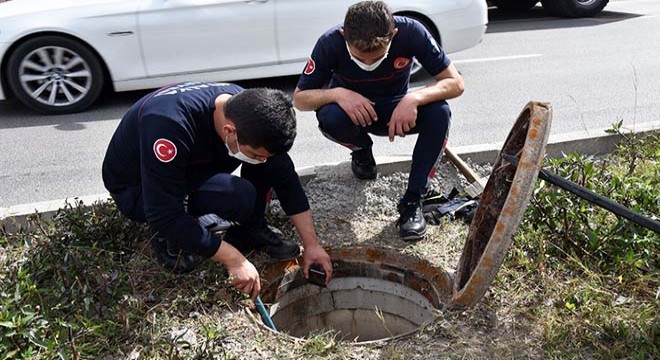 Drenaj kanalına giren kedi bulunamadı