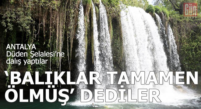 Düden'e dalış yaptılar 'balıklar tamamen ölmüş' dediler