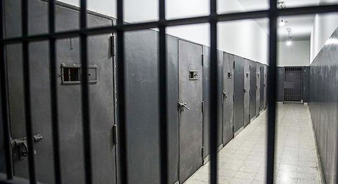 Duman isimli köpeği döven sanığa 2 yıl 6 ay hapis cezası