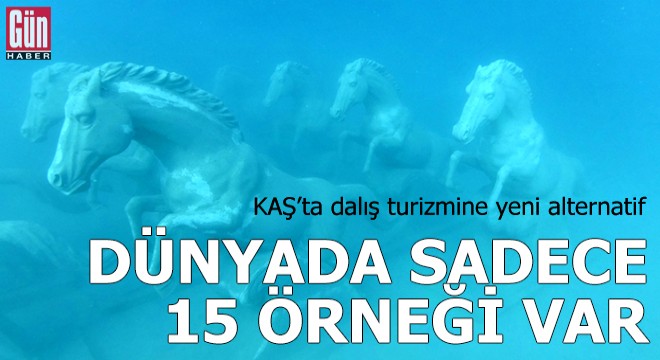 Dünyada sadece 15 örneği var