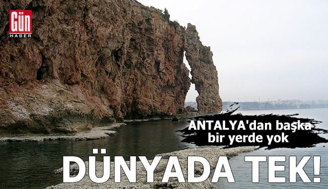 Dünyada tek! Antalya'dan başka bir yerde yok