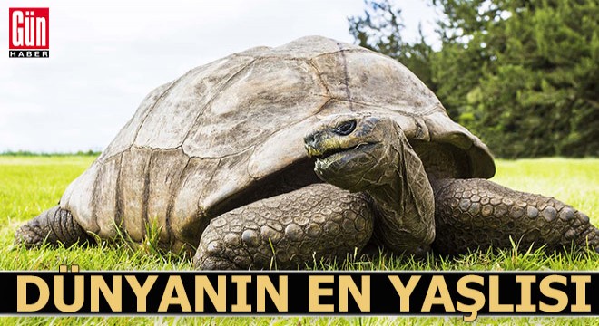 Dünyanın en yaşlısı o...