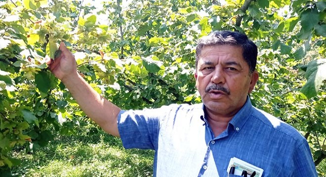 Düzce'ye gelen fındık işçileri koronavirüse karşı aşılanacak