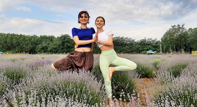Edirne'de lavanta tarlasında yoga