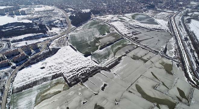 Edirne'de tarlalar buz pistine döndü