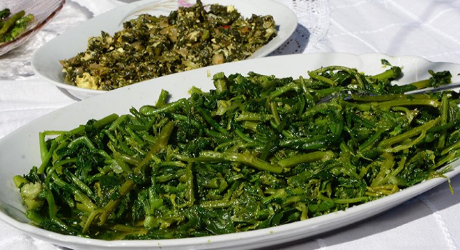 Ege'nin otları kuşaktan kuşağa aktarılıyor