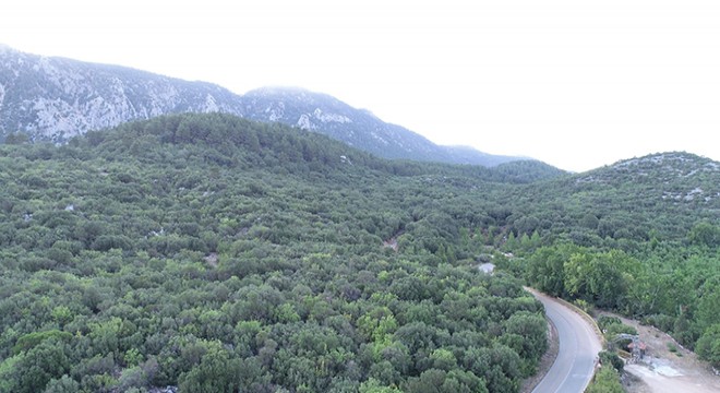 Eğirdir de ormanlık alanlar dronla kontrol ediliyor