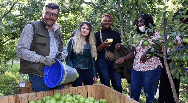 Eğirdir i gezen Gambiyalılar elma topladı