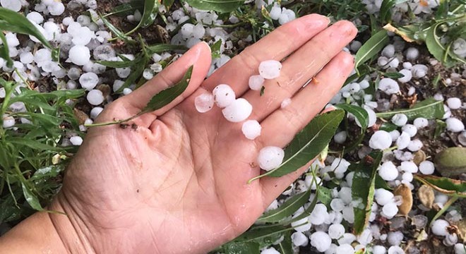 Elazığ'da dolu etkili oldu