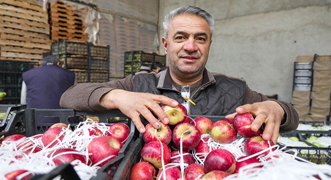 Elma ticaretinde  Habur  hareketliliği