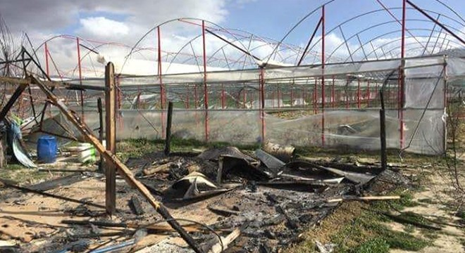 Elmalı'da seradaki barakalar kundaklandı