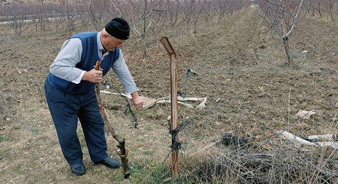 Elmalı da yağış çiftçilerin yüzünü güldürdü