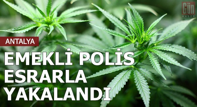 Emekli polis 1290 gram esrarla yakalandı