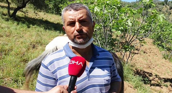 Emeklilik ikramiyesini telefon dolandırıcılarına kaptırdı