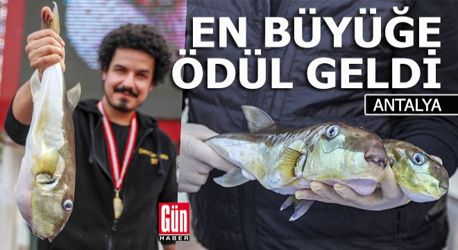 En büyüğünü yakalamak için yarıştılar