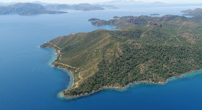 En büyük yangında yeşile dönüş yüzde 80 tamamlandı