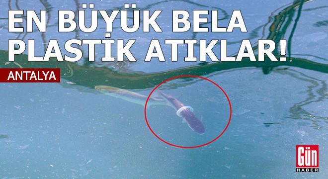 En büyük bela plastik atıklar!