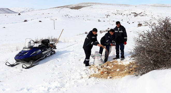Enerji timleri, yaban hayvanları için doğaya yem bıraktı