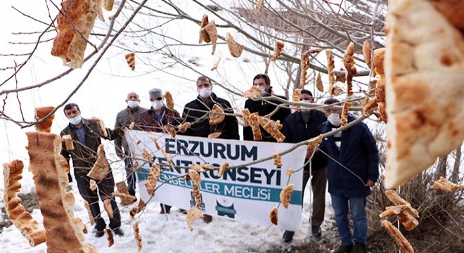 Engelliler, kuşlar için 'rızık ağacı'na ekmek astı