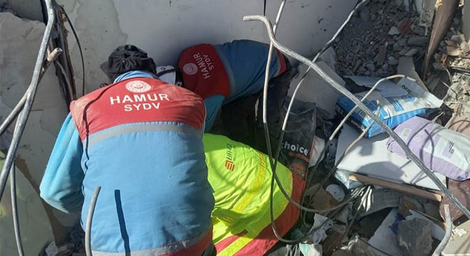 Enkazdan 178 saat sonra kurtarılan kediye 'Umut' ismi verildi